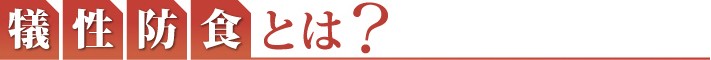 犠牲防食とは?