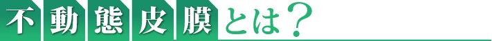 不動態皮膜とは?