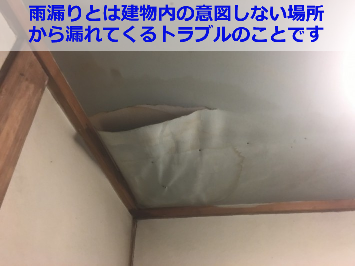 1088848e0f41480dbb9d025af6619705