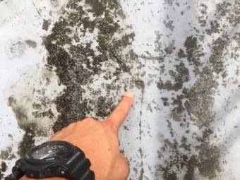防水調査