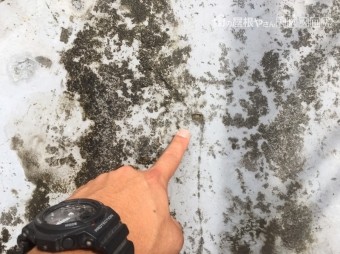 防水調査