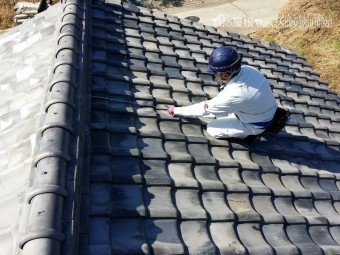 屋根全体の瓦の様子