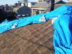 20190222_190222_0008-before