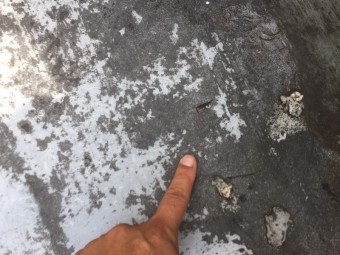 防水調査