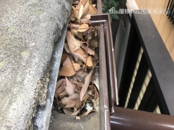 雨どい点検