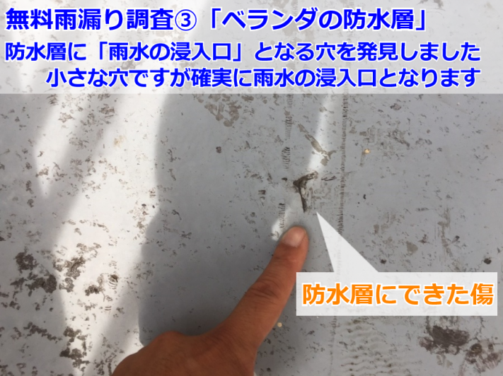 5abc0ea01f2ff7d607a7cd5c44128bc4