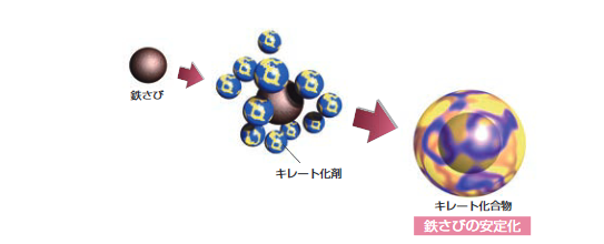 キレート化イメージ図