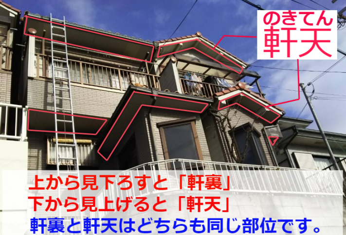 761bd8fe311e69e3ded65ebf6b7b1b80-1
