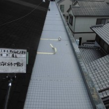 CIMG3414