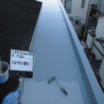 CIMG3461