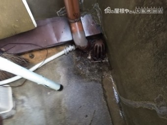 1年点検ベランダ掃除