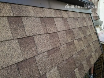 1年点検大屋根点検