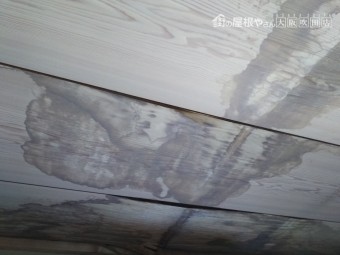 天井の雨漏り雨染み