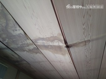 天井の雨漏り雨染み