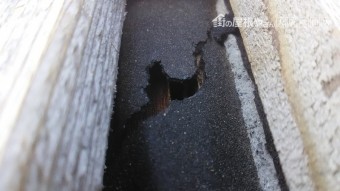 劣化した屋根材
