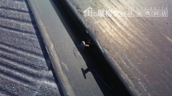 屋根の釘抜け