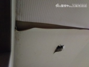 雨漏り調査開始 天井クロスめくれ