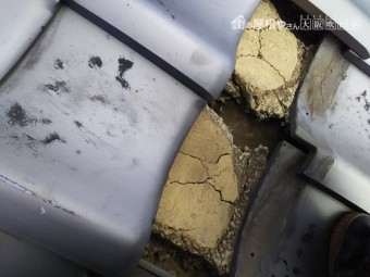 現地調査 瓦の下を調査