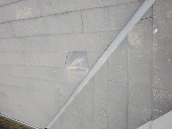 IMG00313