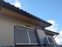 IMG00553