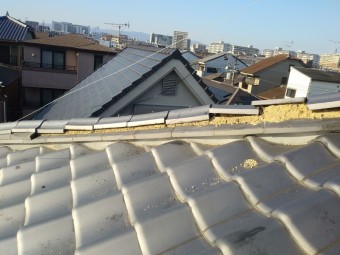 IMG00757