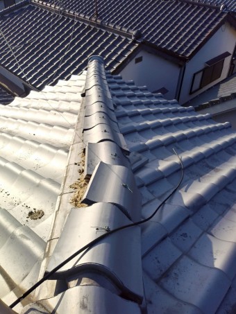 IMG00762_HDR