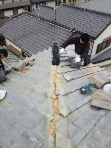 IMG00843-e1549944402918