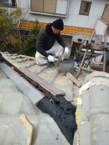IMG00895-e1549949937801