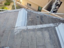 IMG01653