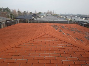 IMG01759