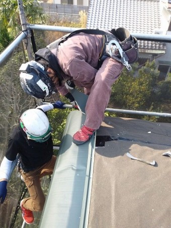 IMG01839-e1558950594167
