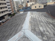 IMG02454