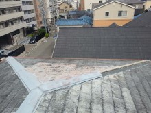 IMG02457