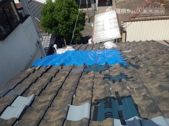 養生調査