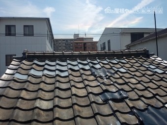 養生調査