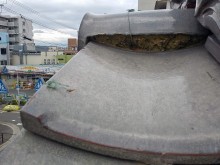 IMG04632_HDR