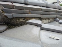 IMG04650