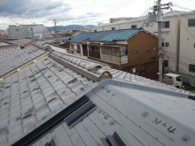 IMG05499
