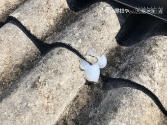 破損し穴の空いた金属屋根をコーキング補修