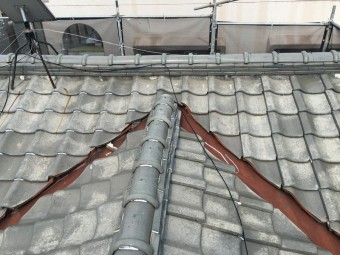 IMG_00831