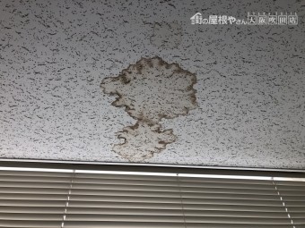 雨染み