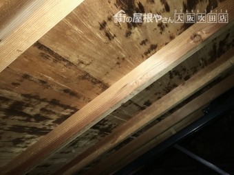 屋根裏
