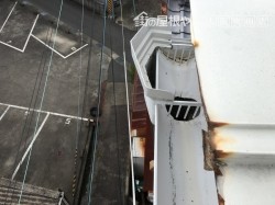 雨樋交換
