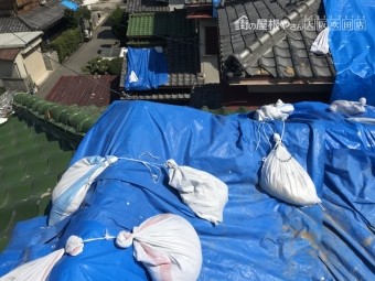 台風で被災した屋根をブルーシートで養生