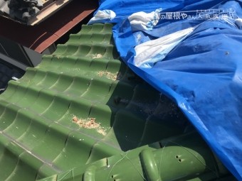 台風で被災した屋根をブルーシートで養生