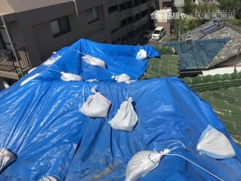 台風で被災した屋根をブルーシートで養生