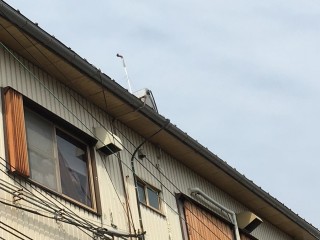 IMG_0339