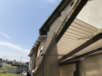 IMG_0347-1