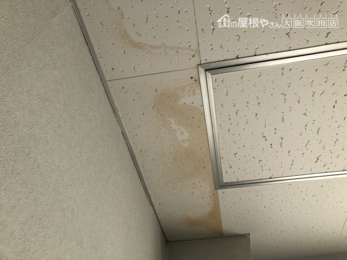 天井雨漏り雨染み