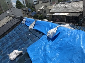 震災でズレた瓦をブルーシートで養生カバー